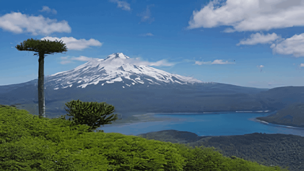 Vacaciones en la Araucanía