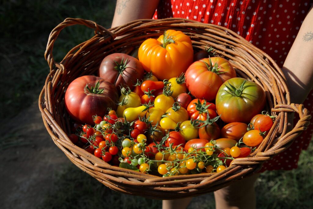 El Sabor del Verano se Celebra en MUT