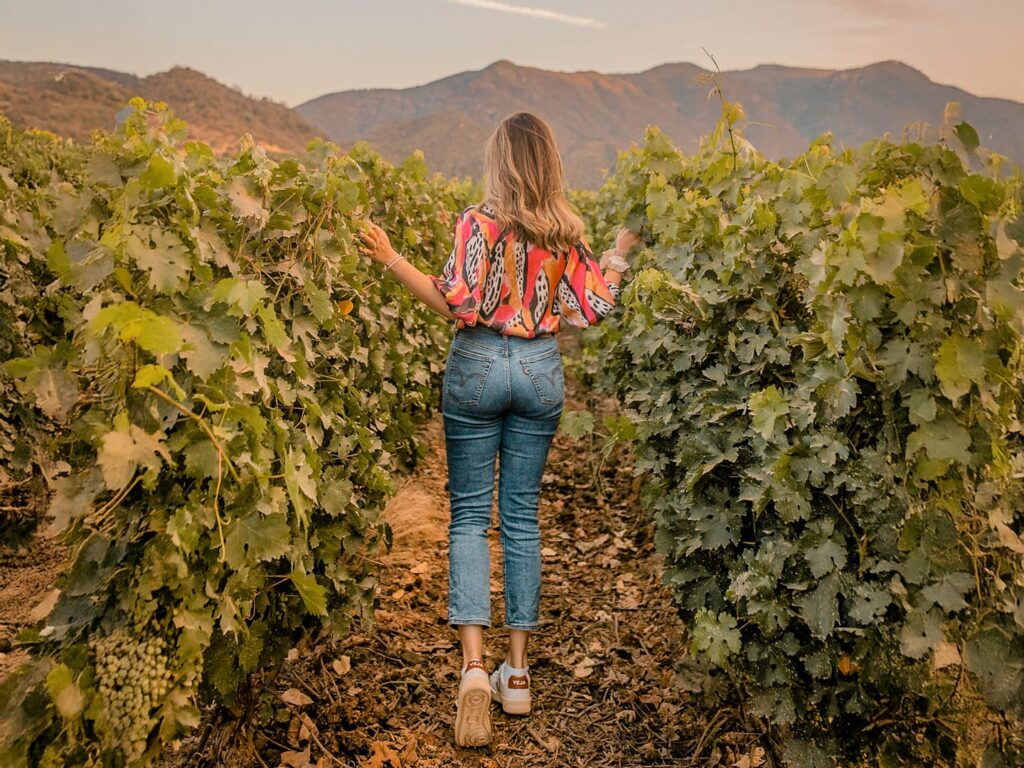 Vendimias 2025: Vino, fiesta y folclore