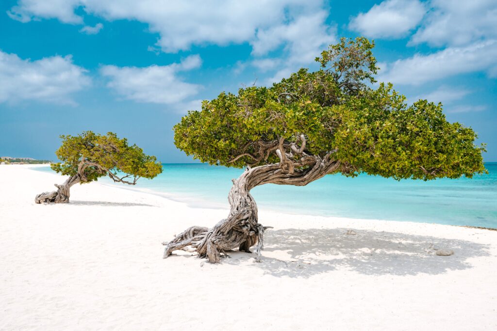 Aruba, un destino gastronómico en auge