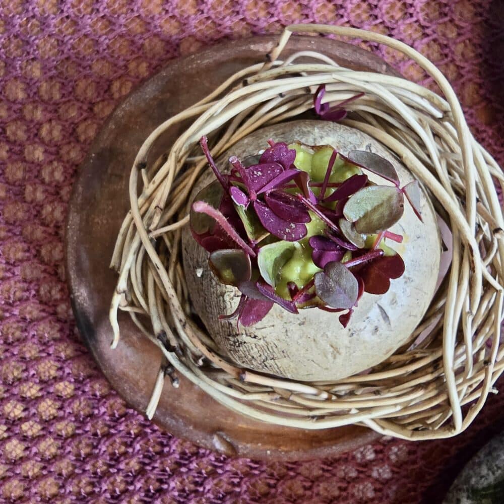 Pulperria santa elvira2