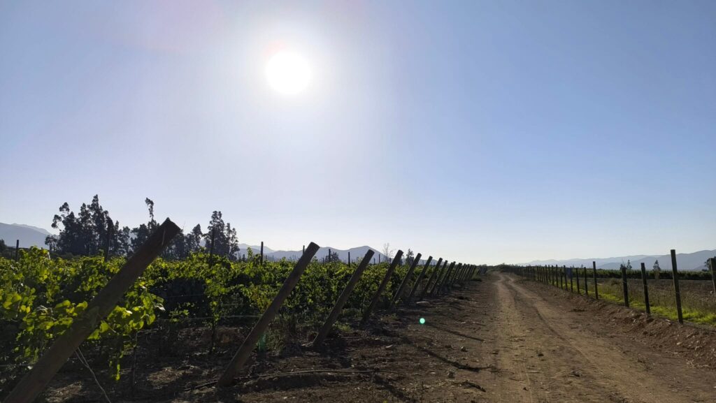 Norte Verde: El terroir que conquista con sus vinos minerales