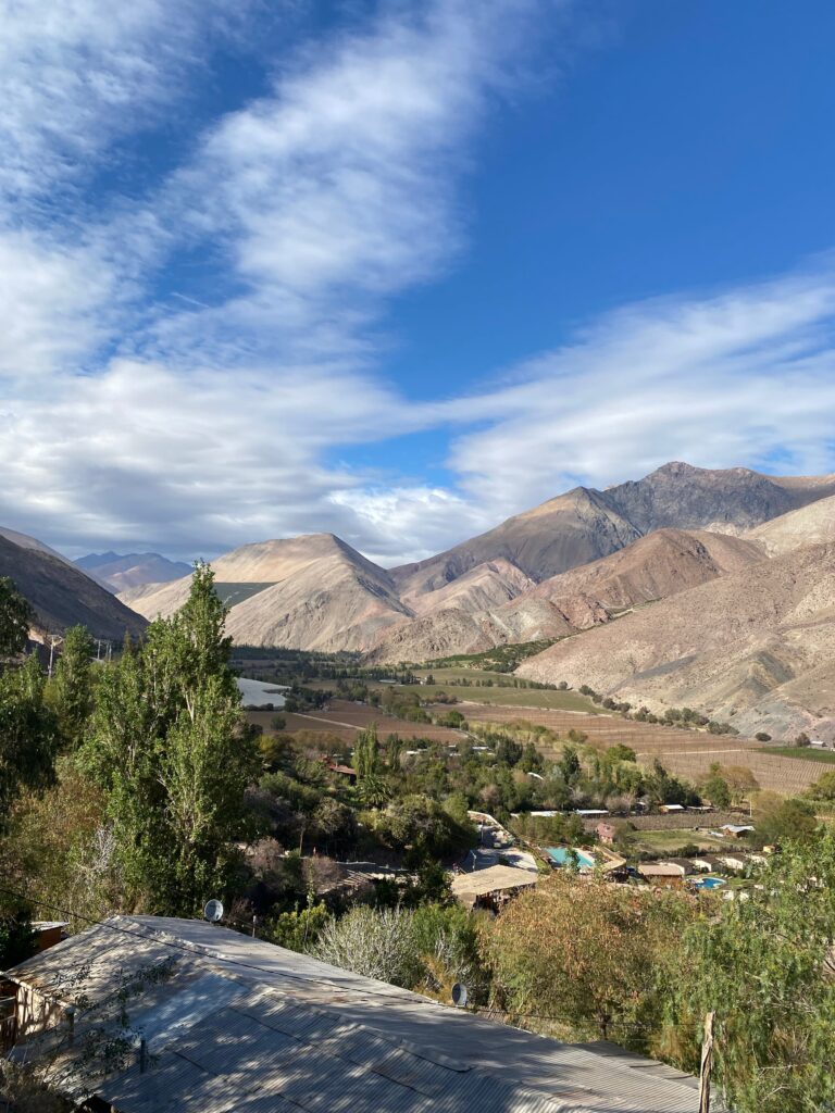 Pisco chileno obtiene histórica denominación de origen en India y podrá ser comercializado