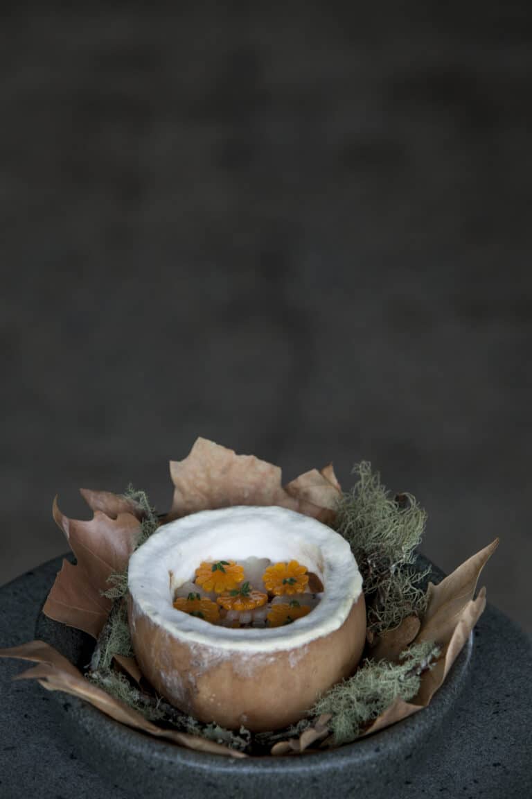 Borago (3)