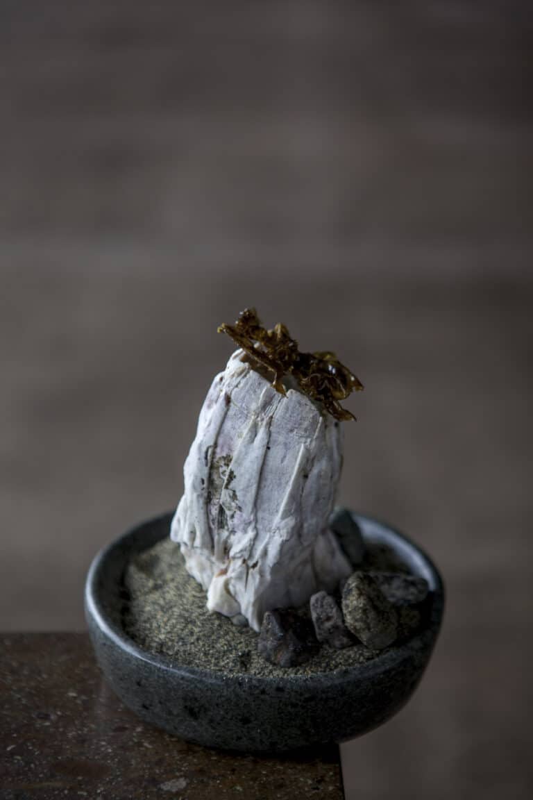 Borago (6)