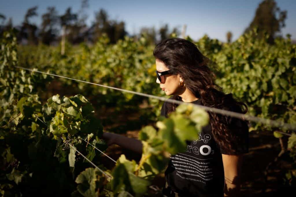 Ana María Barahona (La CAV): «Dudo que dejemos de beber vino»