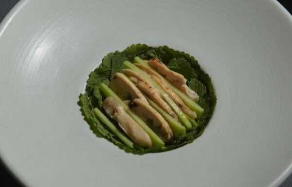 elchato1