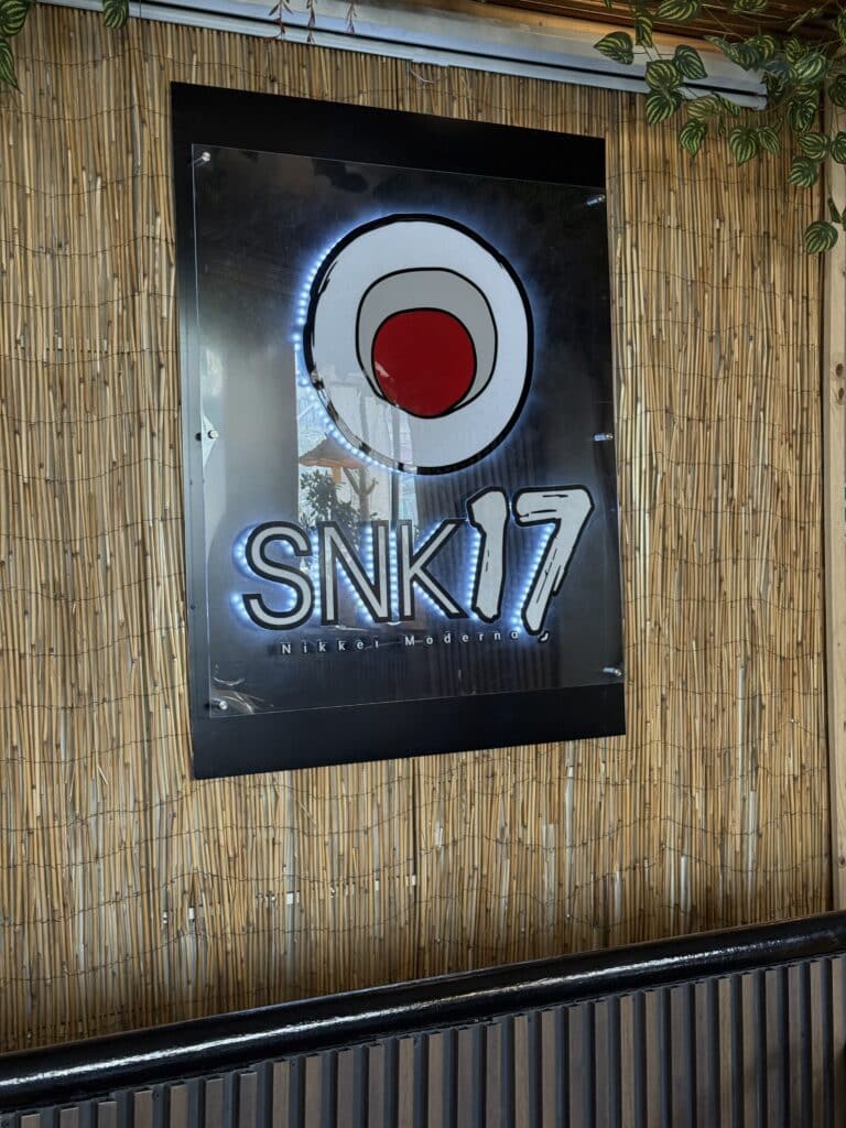 SNK17 (1)