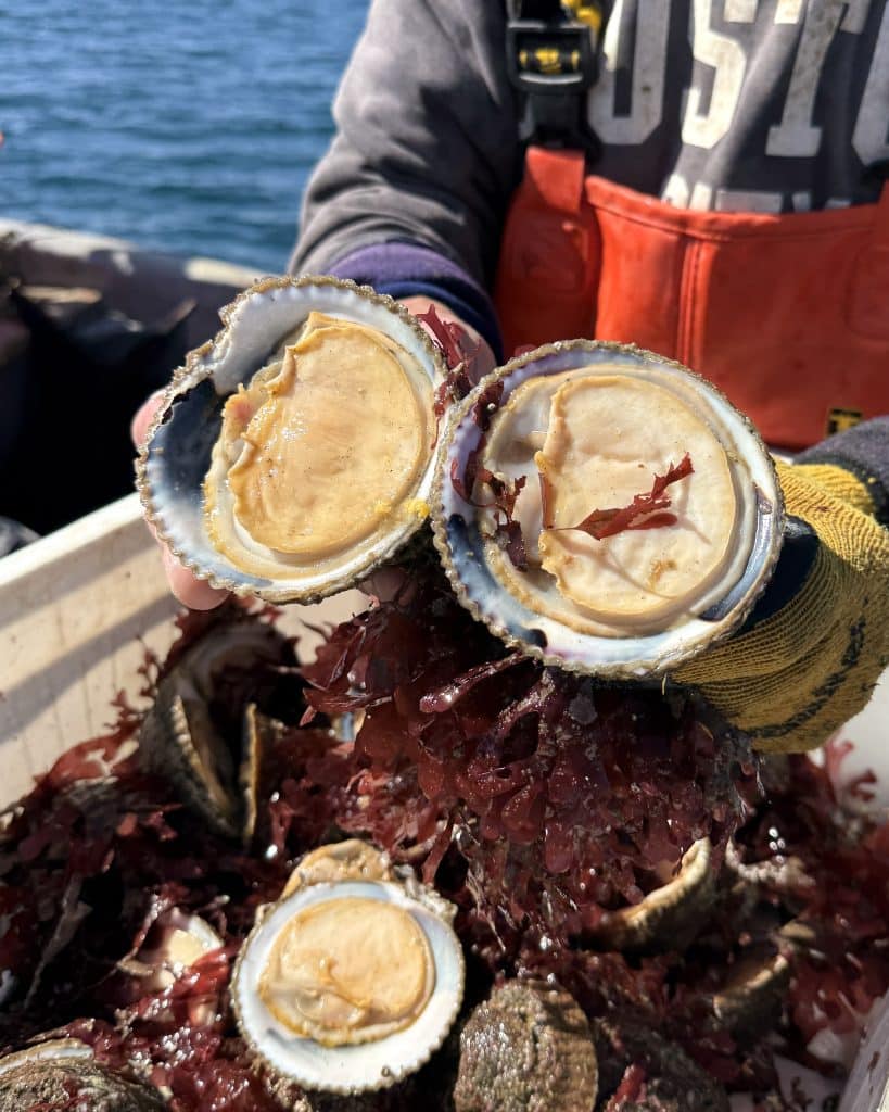 Pescados y mariscos: 11 lugares para irse a la segura