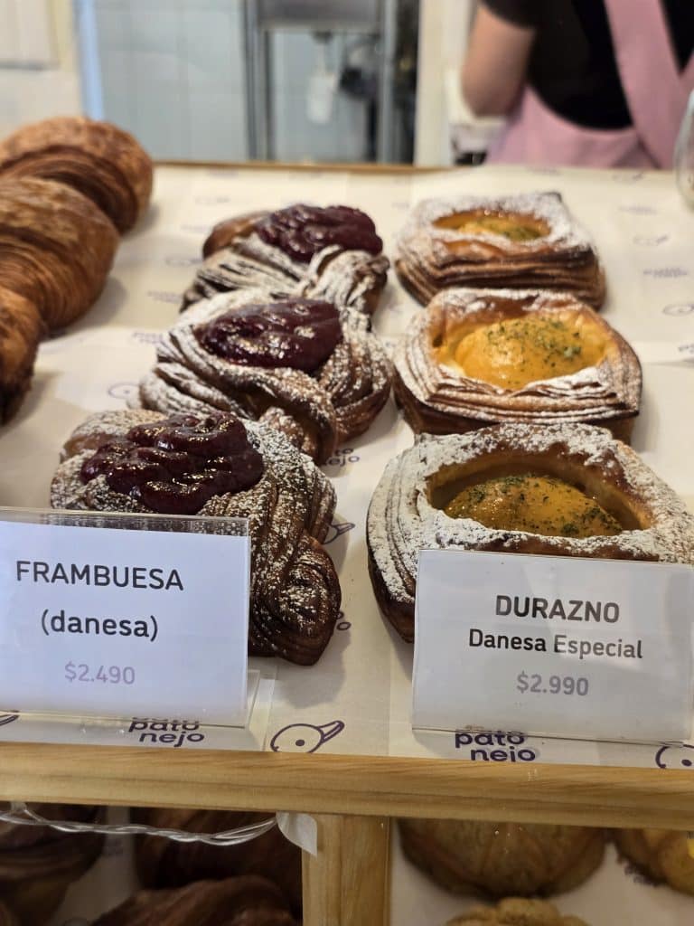 Patonejo (29)
