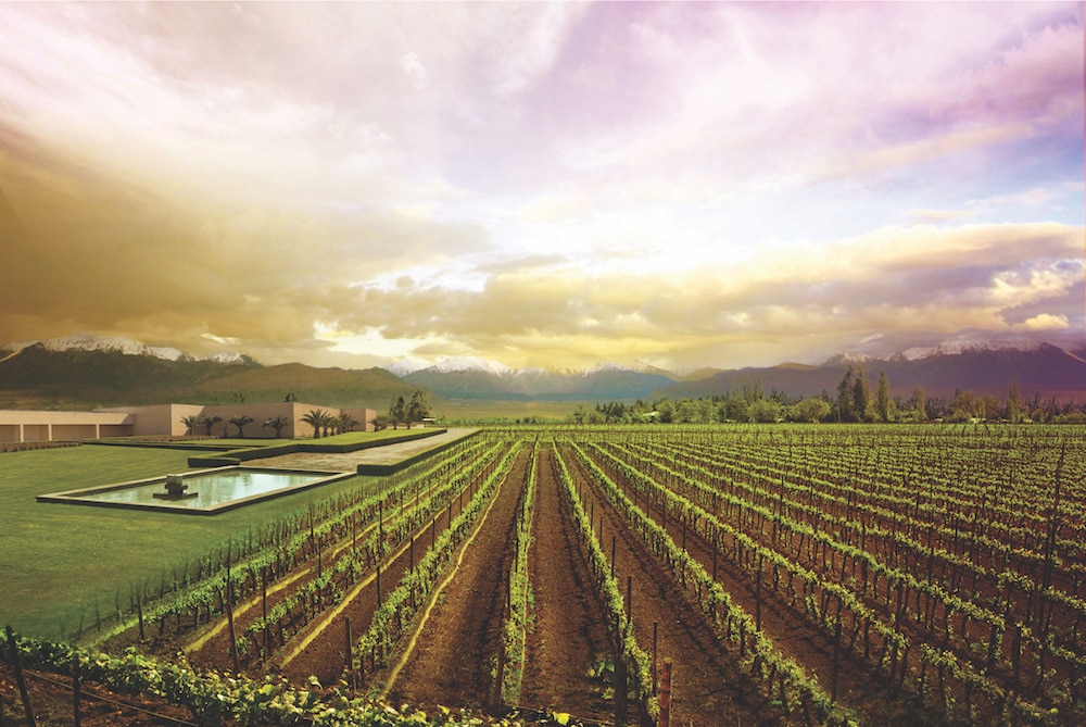 Fotografía de: https://southamericawineguide.com