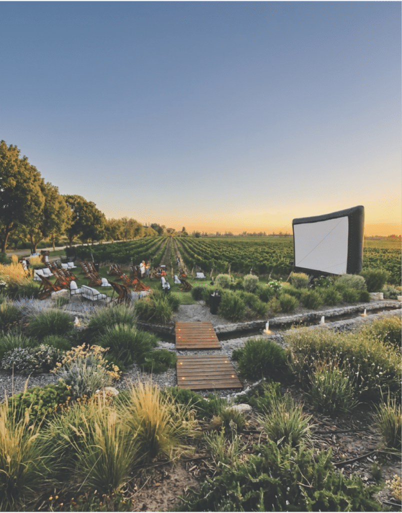 Vino el Cine: 4 viñas de Colchagua se convierten en salas de cine al aire libre